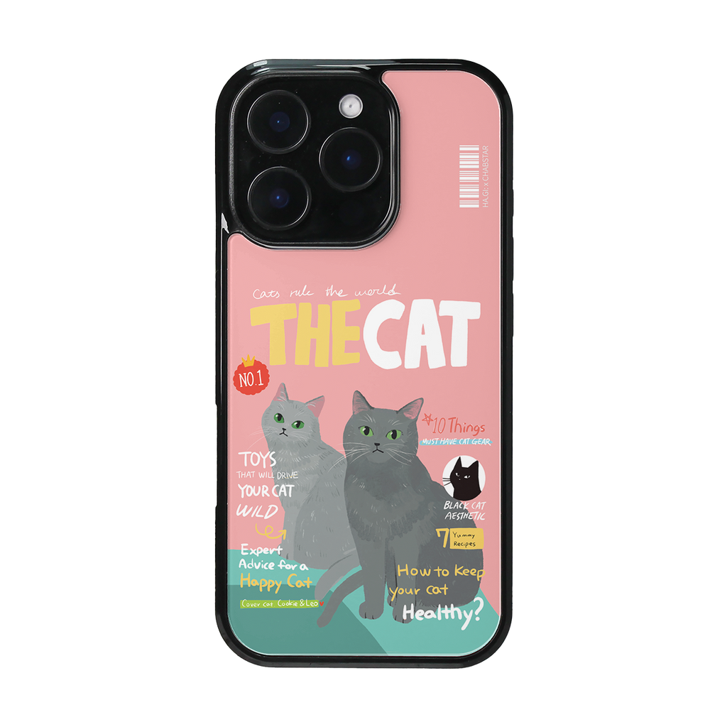 CHABSTAR CASE - 03