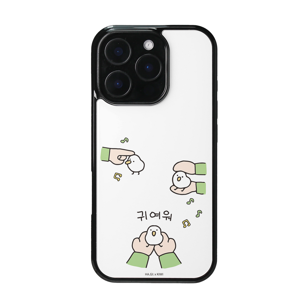 KIWI CASE - 05