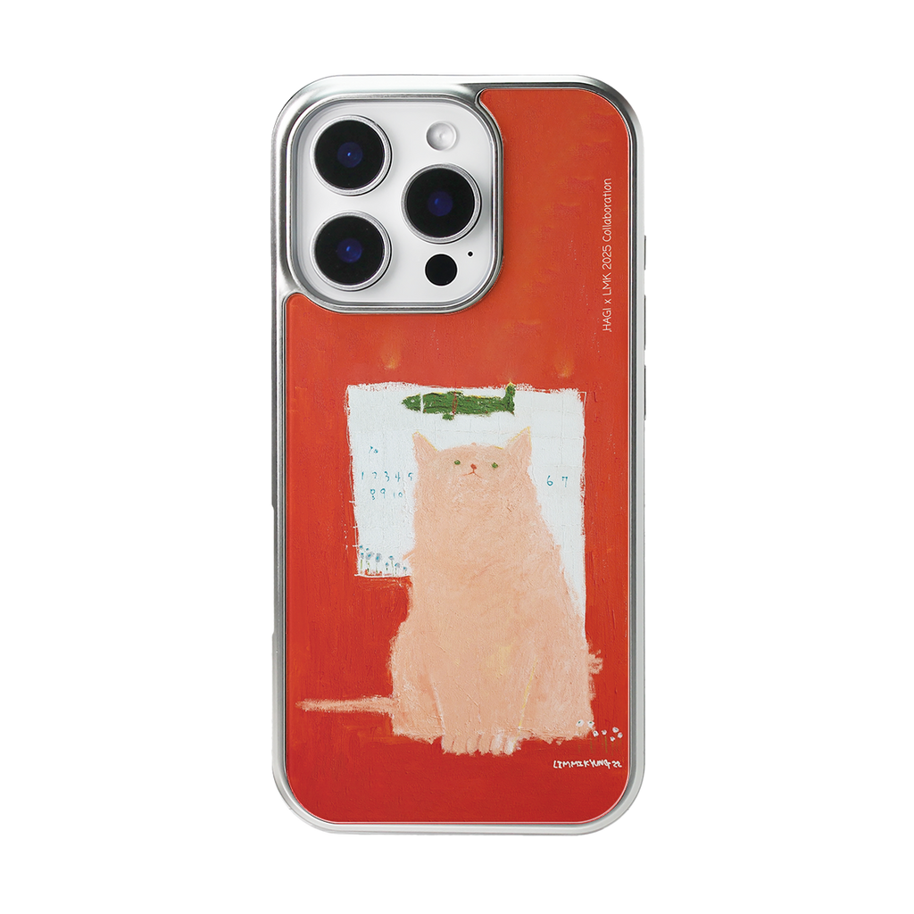 LMK CASE - 10