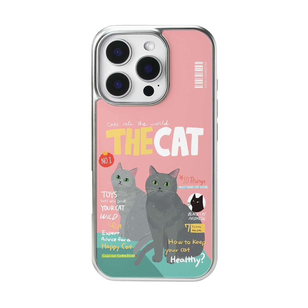 CHABSTAR CASE - 03