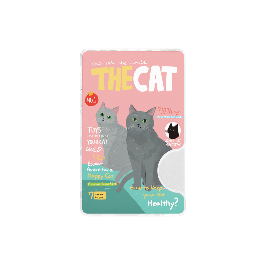 CHABSTAR Card Slot - 03