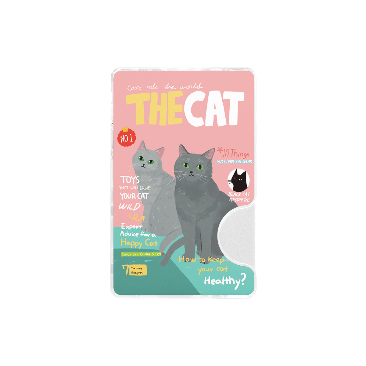 CHABSTAR Card Slot - 03