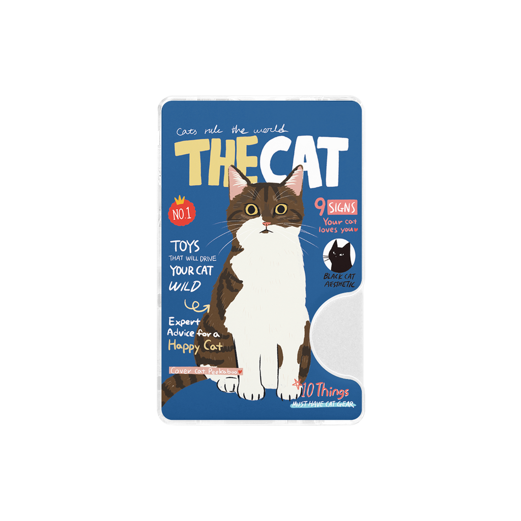 CHABSTAR Card Slot - 01