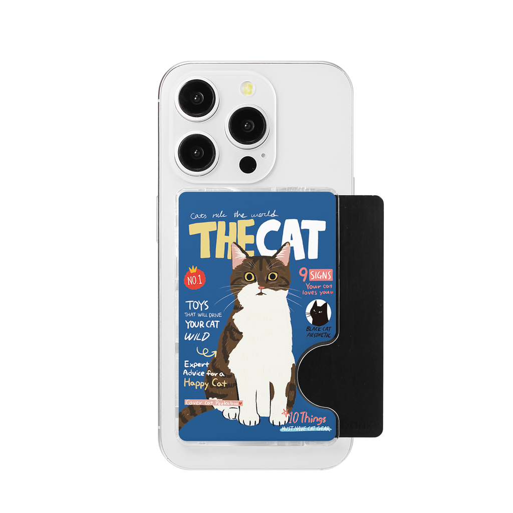 CHABSTAR Card Slot - 01