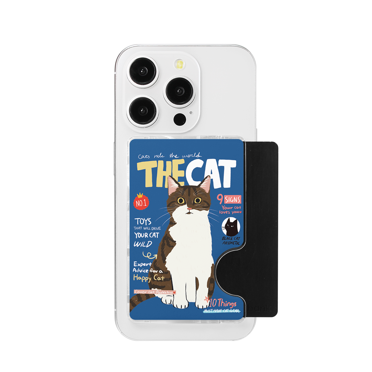CHABSTAR Card Slot - 01