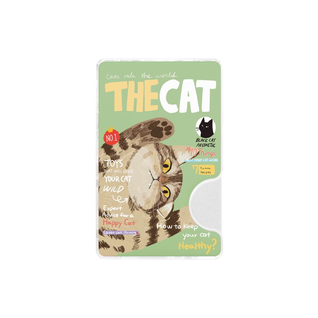 CHABSTAR Card Slot - 02