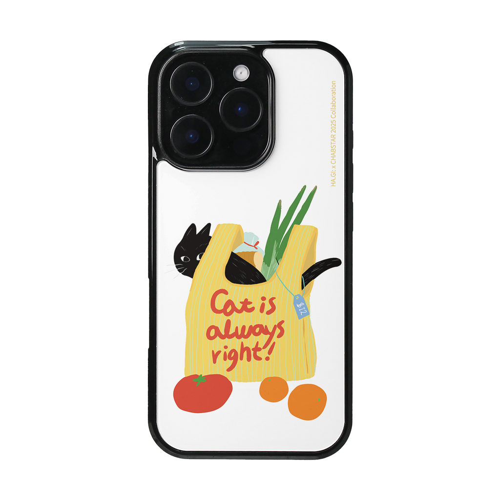 CHABSTAR CASE - 09