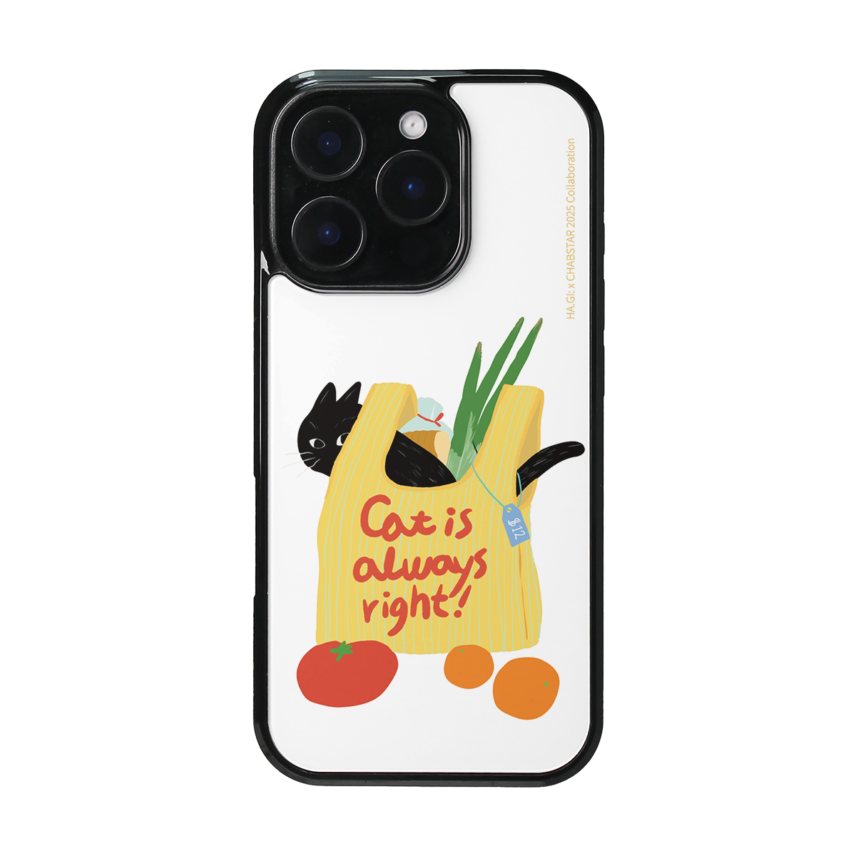 CHABSTAR CASE - 09