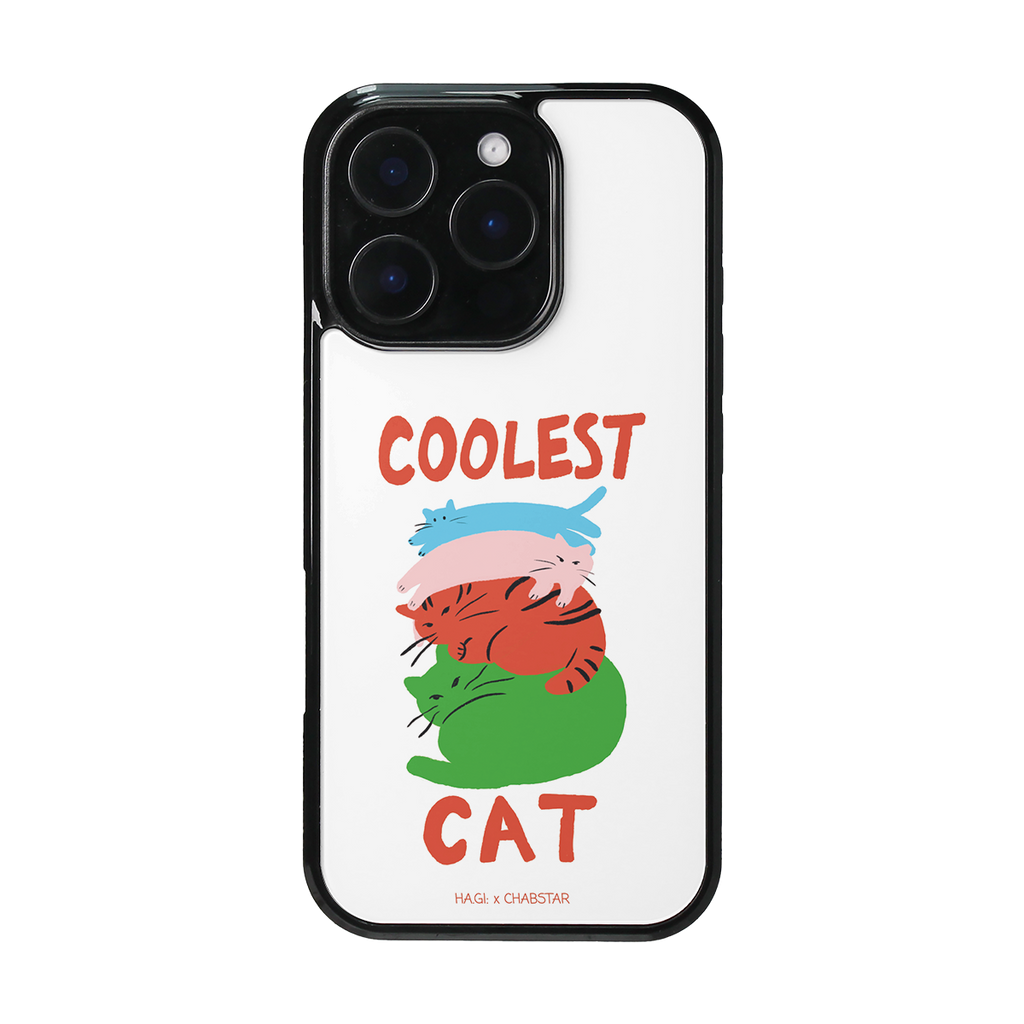 CHABSTAR CASE - 11